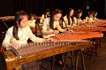 10.22.2016 - Alice Guzheng Ensemble 14th Annual Performance at James Lee Community Theater, VA(13)